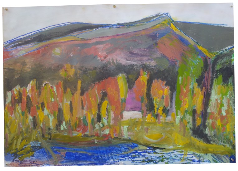 borda, quebrada, montañas, rio y bosque