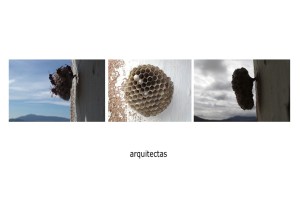 arquitectas
